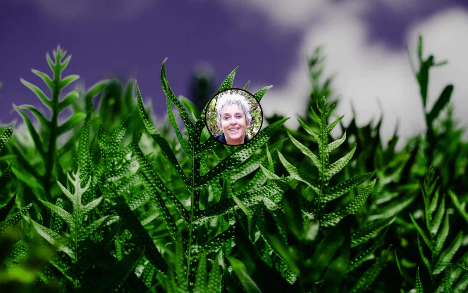 Marie-Noëlle Garric