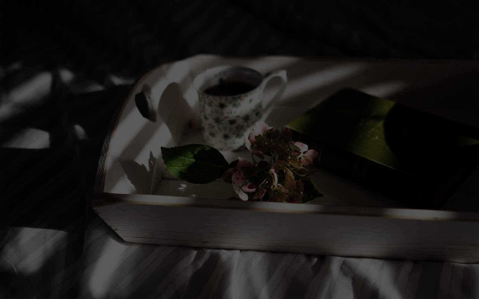 Autour de nos livres...