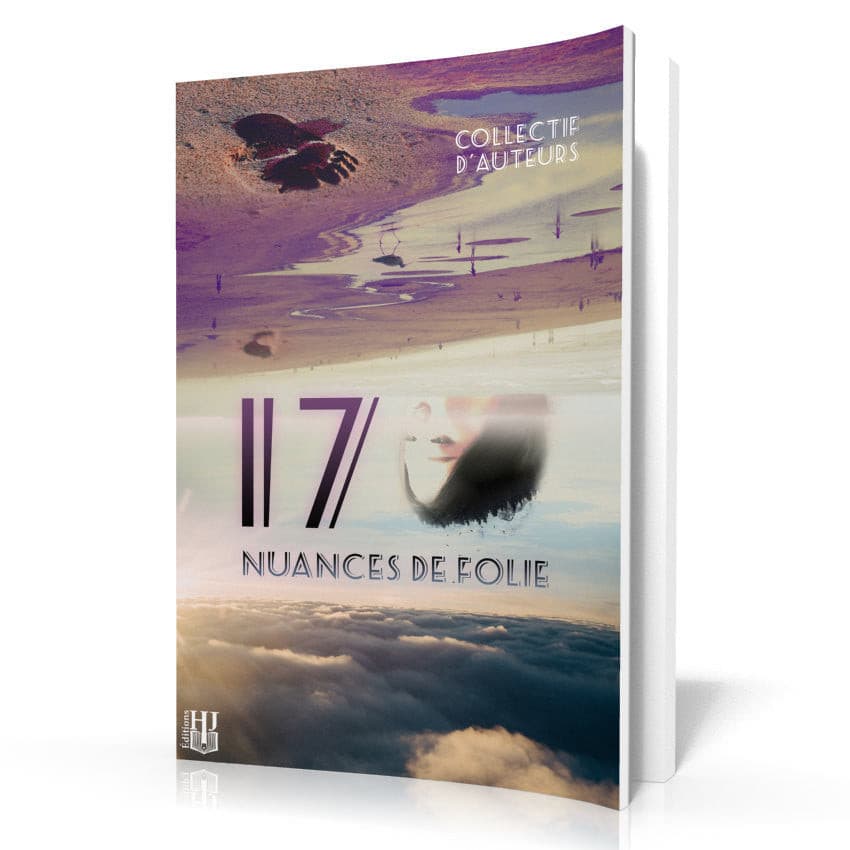 Livres à 4,49 € - 17 Nuances De Folie (Collectif D'auteurs)